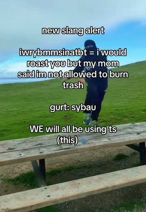 We will NOT be using ts gng (also gm) | made w/ Imgflip meme maker
