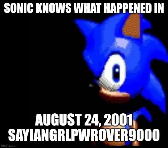 It wasn't your fault (/j) | SONIC KNOWS WHAT HAPPENED IN; AUGUST 24, 2001 SAYIANGRLPWROVER9000 | image tagged in sonic stares | made w/ Imgflip meme maker