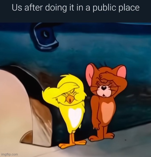 When you get away with it | image tagged in sex,public | made w/ Imgflip meme maker