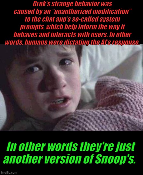 AI can't hurt humans & it never lies.. its a machine.. | Grok’s strange behavior was caused by an “unauthorized modification” to the chat app’s so-called system prompts, which help inform the way it behaves and interacts with users. In other words, humans were dictating the AI’s response. In other words they're just another version of Snoop's. | image tagged in memes,i see dead people | made w/ Imgflip meme maker