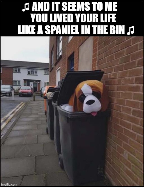 Misheard Lyrics ? | ♫ AND IT SEEMS TO ME 
   YOU LIVED YOUR LIFE
      LIKE A SPANIEL IN THE BIN ♫ | image tagged in dogs,spaniel,song lyrics | made w/ Imgflip meme maker
