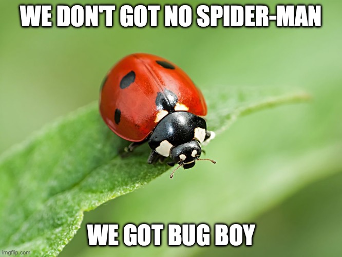 Bug Boy | WE DON'T GOT NO SPIDER-MAN; WE GOT BUG BOY | image tagged in memes | made w/ Imgflip meme maker