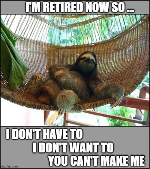 Getting Old Isn't That Bad ! | I'M RETIRED NOW SO ... I DON'T HAVE TO
              I DON'T WANT TO 
                     YOU CAN'T MAKE ME | image tagged in retirement,care free,life,sloth | made w/ Imgflip meme maker