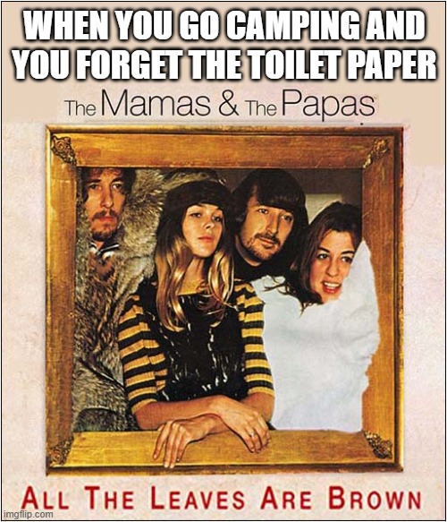 Misinterpreted Lyrics | WHEN YOU GO CAMPING AND
YOU FORGET THE TOILET PAPER | image tagged in camping,toilet paper,leaves,lyrics,dark humour | made w/ Imgflip meme maker