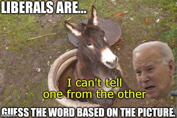I can't tell one from the other | made w/ Imgflip meme maker