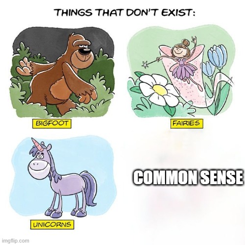 Common sense isn't as common as it should be | COMMON SENSE | image tagged in things that don't exist,so true memes,true story,common sense | made w/ Imgflip meme maker