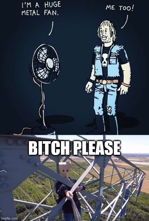 Heavy metal Fan | BITCH PLEASE | image tagged in borntoclimbtowers,heavy metal,meme,lattice climbing,music,rammstein | made w/ Imgflip meme maker