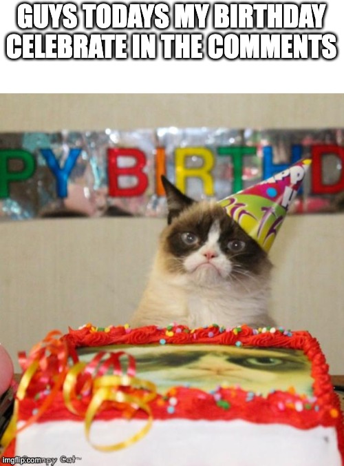 Grumpy Cat Birthday | GUYS TODAYS MY BIRTHDAY CELEBRATE IN THE COMMENTS | image tagged in memes,grumpy cat birthday,grumpy cat,funny,birthday,user | made w/ Imgflip meme maker