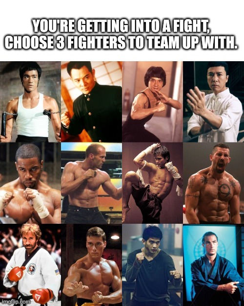 Choose your team of 3 | YOU'RE GETTING INTO A FIGHT, CHOOSE 3 FIGHTERS TO TEAM UP WITH. | image tagged in action,meme,memes,bullying,bully,fight club | made w/ Imgflip meme maker
