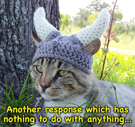Viking cat crochete hat | Another response which has nothing to do with anything... | image tagged in viking cat crochete hat | made w/ Imgflip meme maker