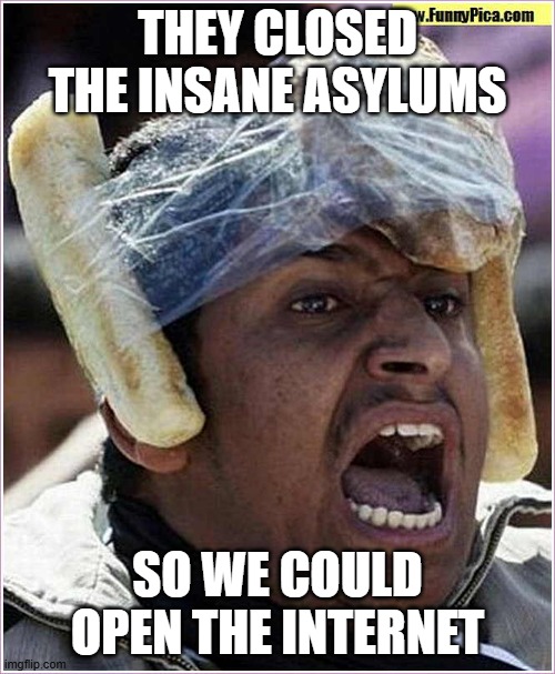 Insaneo | THEY CLOSED THE INSANE ASYLUMS; SO WE COULD OPEN THE INTERNET | image tagged in insane,crazy,nuts,internet,social media | made w/ Imgflip meme maker