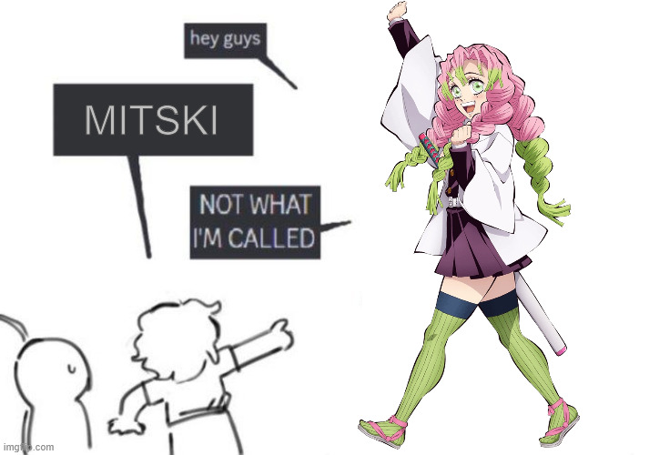 Hey Guys - NOT WHAT I'M CALLED | MITSKI | image tagged in hey guys - not what i'm called | made w/ Imgflip meme maker