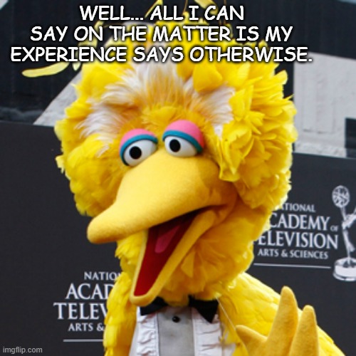 Big Bird Meme | WELL... ALL I CAN SAY ON THE MATTER IS MY EXPERIENCE SAYS OTHERWISE. | image tagged in memes,big bird | made w/ Imgflip meme maker
