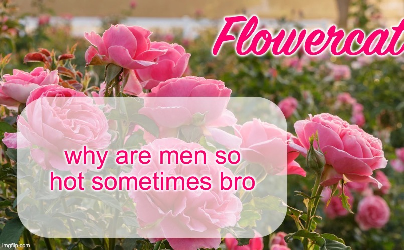 please ignore my horny | why are men so hot sometimes bro | image tagged in flowercat template | made w/ Imgflip meme maker