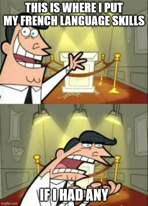 This Is Where I'd Put My Trophy If I Had One Meme | THIS IS WHERE I PUT MY FRENCH LANGUAGE SKILLS; IF I HAD ANY | image tagged in memes,this is where i'd put my trophy if i had one | made w/ Imgflip meme maker