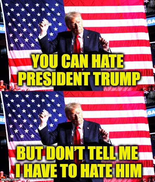 You can't cancel me | YOU CAN HATE
 PRESIDENT TRUMP; BUT DON’T TELL ME
 I HAVE TO HATE HIM | image tagged in president trump | made w/ Imgflip meme maker