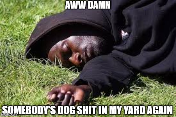Dog Poop | AWW DAMN; SOMEBODY'S DOG SHIT IN MY YARD AGAIN | image tagged in dark humor | made w/ Imgflip meme maker