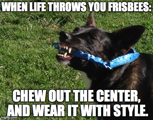 Phoebe's Wisdom | WHEN LIFE THROWS YOU FRISBEES: CHEW OUT THE CENTER, AND WEAR IT WITH STYLE. | image tagged in life,challenge,frisbee,dogs | made w/ Imgflip meme maker