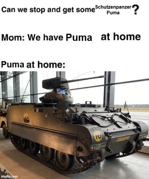 Puma at home | image tagged in tanks,military | made w/ Imgflip meme maker