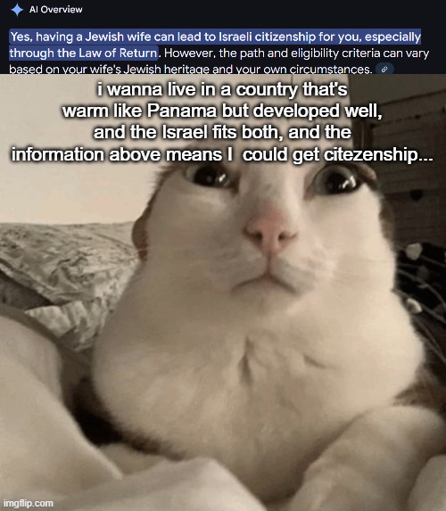 "I May Not Have a Brain, Gentlemen, But I Have an Idea" | i wanna live in a country that's warm like Panama but developed well, and the Israel fits both, and the information above means I  could get citezenship... | image tagged in goober | made w/ Imgflip meme maker