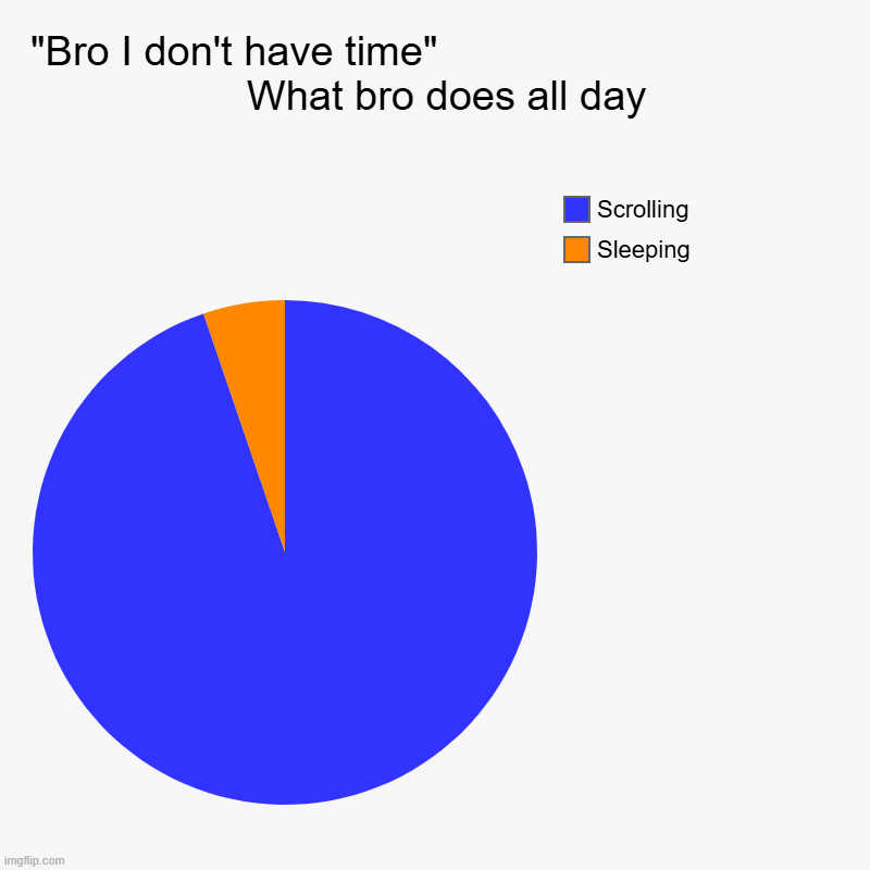 Why | "Bro I don't have time"                                      What bro does all day | Sleeping, Scrolling | image tagged in charts,pie charts | made w/ Imgflip chart maker