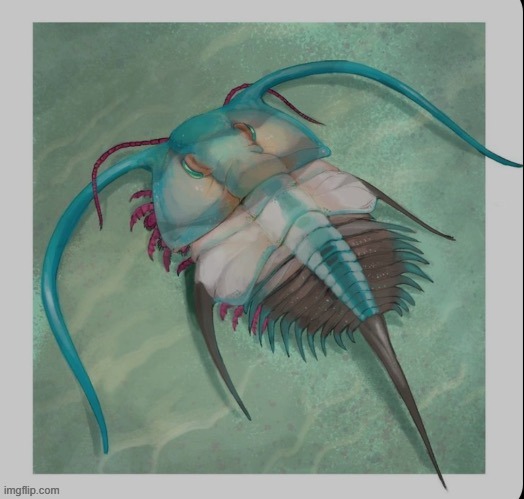 Trilobite Miku | image tagged in hatsune miku,vocaloid | made w/ Imgflip meme maker
