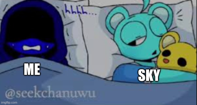 idk | SKY; ME | image tagged in jevin had a nightmare | made w/ Imgflip meme maker