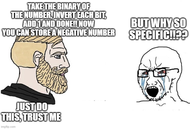 Chad vs yes soyboy | TAKE THE BINARY OF THE NUMBER, INVERT EACH BIT, ADD 1 AND DONE!! NOW YOU CAN STORE A NEGATIVE NUMBER; BUT WHY SO SPECIFIC!!?? JUST DO THIS, TRUST ME | image tagged in chad vs yes soyboy | made w/ Imgflip meme maker