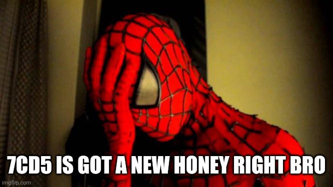 spiderman facepalm | 7CD5 IS GOT A NEW HONEY RIGHT BRO | image tagged in spiderman facepalm | made w/ Imgflip meme maker