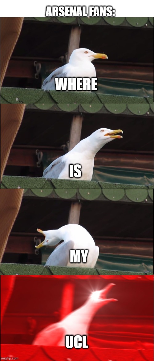 please don't hate | ARSENAL FANS:; WHERE; IS; MY; UCL | image tagged in memes,inhaling seagull | made w/ Imgflip meme maker