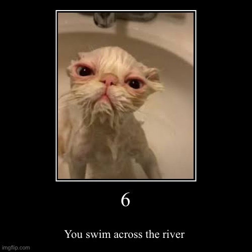 6 | You swim across the river | image tagged in funny,demotivationals | made w/ Imgflip demotivational maker