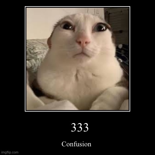 333 | Confusion | image tagged in funny,demotivationals | made w/ Imgflip demotivational maker