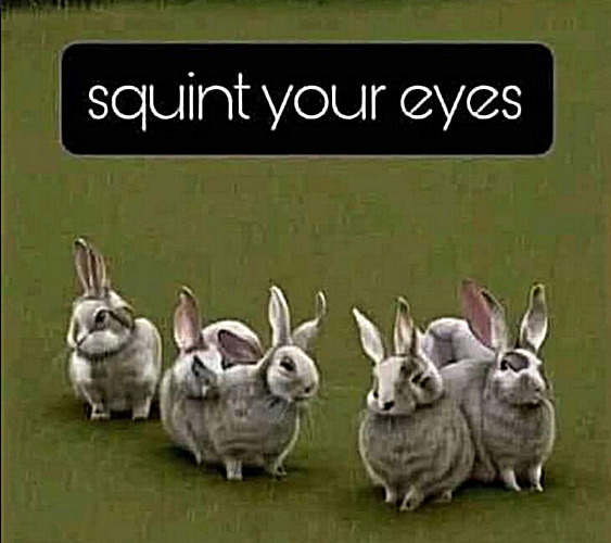 Send to a friend. Share the joy. | image tagged in memes,fun | made w/ Imgflip meme maker