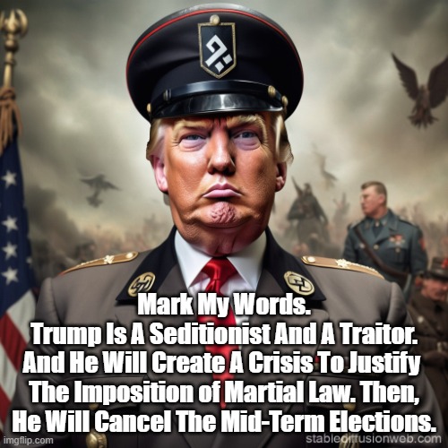 Trump Will Cancel The Mid-Term Elections | Mark My Words.
Trump Is A Seditionist And A Traitor.
And He Will Create A Crisis To Justify 
The Imposition of Martial Law. Then, He Will Cancel The Mid-Term Elections. | image tagged in midterm elections,trump,sedition,traitorousness,martial law | made w/ Imgflip meme maker