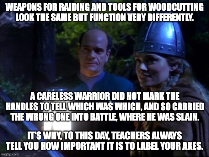 EMH advises Viking on proper tools | WEAPONS FOR RAIDING AND TOOLS FOR WOODCUTTING LOOK THE SAME BUT FUNCTION VERY DIFFERENTLY. A CARELESS WARRIOR DID NOT MARK THE HANDLES TO TELL WHICH WAS WHICH, AND SO CARRIED THE WRONG ONE INTO BATTLE, WHERE HE WAS SLAIN. IT'S WHY, TO THIS DAY, TEACHERS ALWAYS TELL YOU HOW IMPORTANT IT IS TO LABEL YOUR AXES. | image tagged in emh with viking woman | made w/ Imgflip meme maker