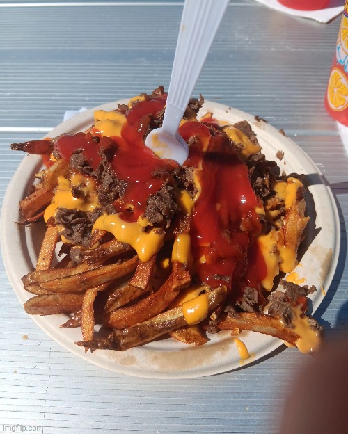 Steak and Cheese fries I had at a festival in my town | made w/ Imgflip meme maker