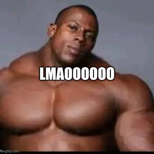 giga niga | LMAOOOOOO | image tagged in giga niga | made w/ Imgflip meme maker