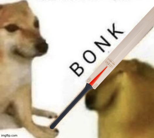 When English breed dogs bonk | image tagged in bonk,cricket bat | made w/ Imgflip meme maker
