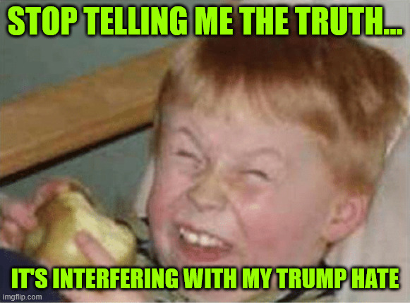 sour apple | STOP TELLING ME THE TRUTH... IT'S INTERFERING WITH MY TRUMP HATE | image tagged in sour apple | made w/ Imgflip meme maker