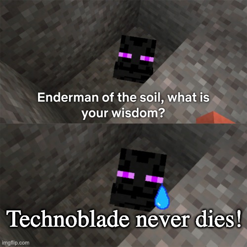 Technoblade never dies! | Technoblade never dies! | image tagged in enderman of the soil,technoblade | made w/ Imgflip meme maker
