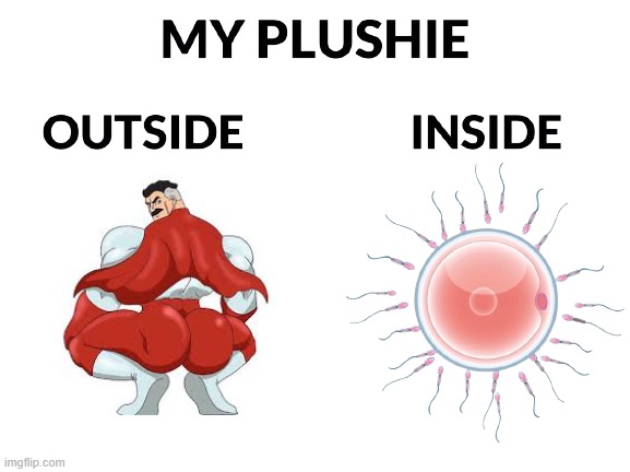 Are you sure | image tagged in my plushie outside inside | made w/ Imgflip meme maker