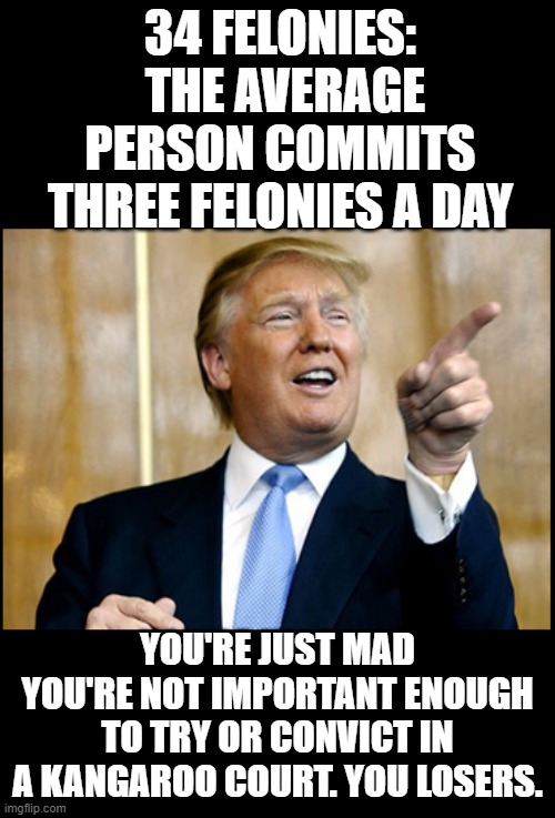 Trump Felonies | 34 FELONIES:  THE AVERAGE PERSON COMMITS THREE FELONIES A DAY; YOU'RE JUST MAD YOU'RE NOT IMPORTANT ENOUGH TO TRY OR CONVICT IN A KANGAROO COURT. YOU LOSERS. | image tagged in trump,felon,felonies,democrats are wimps,maga | made w/ Imgflip meme maker