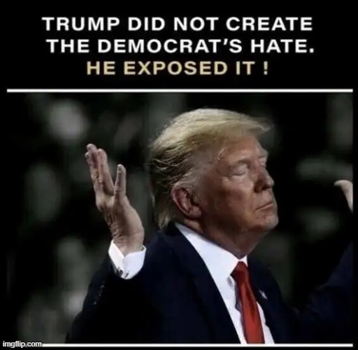 So true meme | image tagged in donald trump,democrats,exposed,truth hurts | made w/ Imgflip meme maker