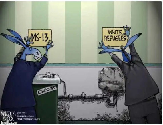Liberals prefer MS-13 | image tagged in democrats,leftists,ms-13,white people,libs hate whites and discriminate,it is evolving just backwards | made w/ Imgflip meme maker