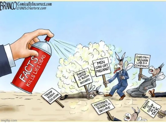 I can't understand how anyone could embrace liberalism & Democrats today... | image tagged in facts,kill,lies,liberals,democrats | made w/ Imgflip meme maker