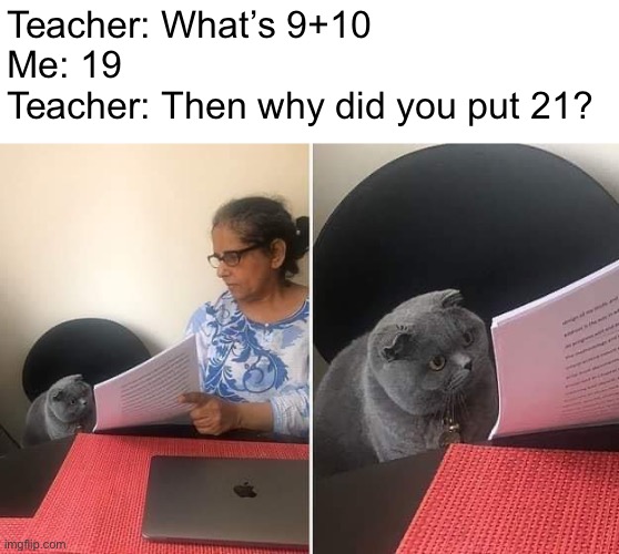 You stupid? | Teacher: What’s 9+10
Me: 19
Teacher: Then why did you put 21? | image tagged in woman showing paper to cat,memes | made w/ Imgflip meme maker