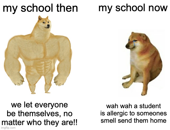 Buff Doge vs. Cheems Meme | my school then; my school now; we let everyone be themselves, no matter who they are!! wah wah a student is allergic to someones smell send them home | image tagged in memes,buff doge vs cheems | made w/ Imgflip meme maker