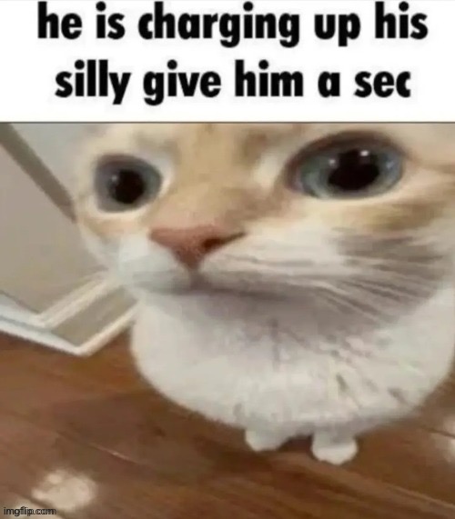 :3 | image tagged in silly,cat | made w/ Imgflip meme maker