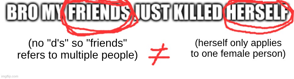 (no "d's" so "friends" refers to multiple people) (herself only applies to one female person) | made w/ Imgflip meme maker
