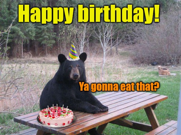 Birthday Bear | Happy birthday! Ya gonna eat that? | image tagged in birthday bear | made w/ Imgflip meme maker